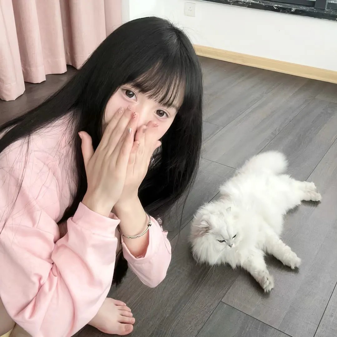 超级索尼子