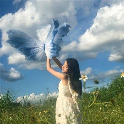 破坏性计划
